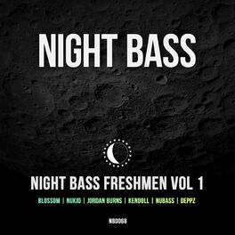 Album cover of Night Bass Freshmen Vol 1