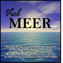 Album cover of Viel Meer