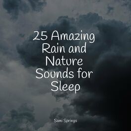 Album cover of 25 Amazing Rain and Nature Sounds for Sleep