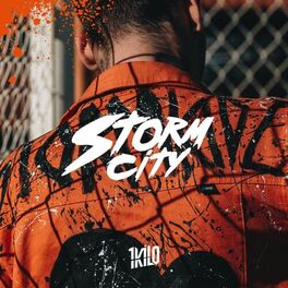 Album cover of Stormcity