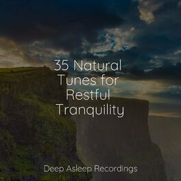 Album cover of 35 Natural Tunes for Restful Tranquility