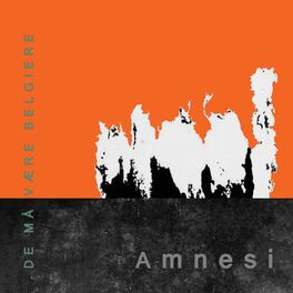 Album cover of Amnesi