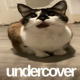 Album cover of undrcovr :3