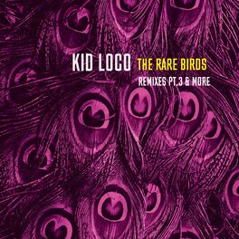 Album cover of The Rare Birds Remixes, Pt.3 & More