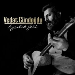 Album cover of Ayrılık Yeli