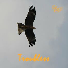 Album cover of Troubless