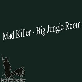 Album cover of Big Jungle Room