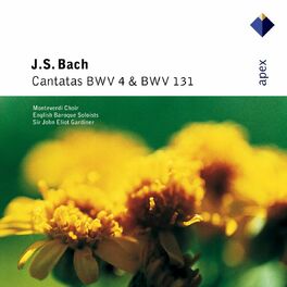Album cover of Bach: Cantatas BWV 4 & 131