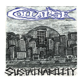 Album cover of Sustainability