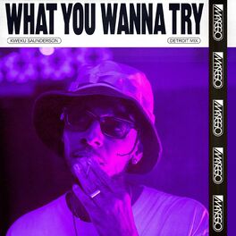 Album cover of What You Wanna Try (Kweku Saunderson Detroit Mix)