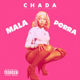 Album cover of MALA PERRA