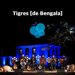 Album cover of Tigres de Bengala