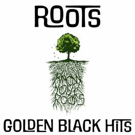 Album cover of Roots (Golden Black Music)