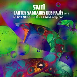 Album cover of Saitî - Cantos Sagrados dos Pajés