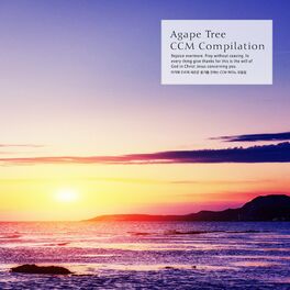 Album cover of CCM piano collection that conveys the new courage of agape tree