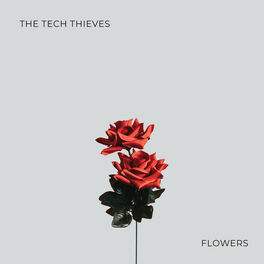 Album cover of Flowers