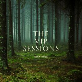 Album cover of THE VIP SESSIONS 1 : LOVE BIRDS