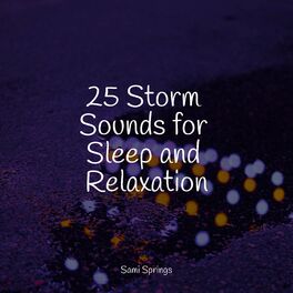 Album cover of 25 Storm Sounds for Sleep and Relaxation