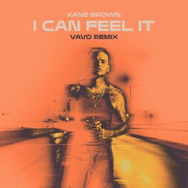 Album cover of I Can Feel It (VAVO Remix)