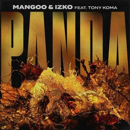Album cover of Panda (feat. Tony Koma)