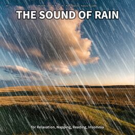 Album cover of #01 The Sound of Rain for Relaxation, Napping, Reading, Insomnia