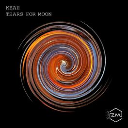 Album picture of Tears for Moon