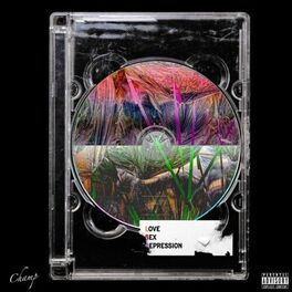 Album cover of L.S.D.