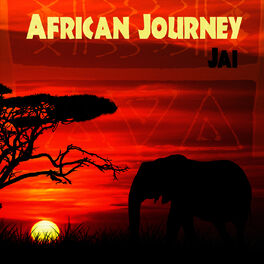 Album cover of African Journey