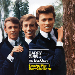 Album cover of The Bee Gee's Sing & Play 14 Barry Gibb Songs