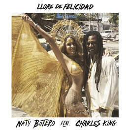 Album cover of Lloré de Felicidad (Remix)