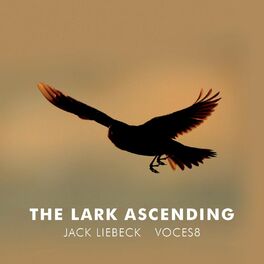 Album cover of The Lark Ascending (Arr. for violin and choir by Paul Drayton)