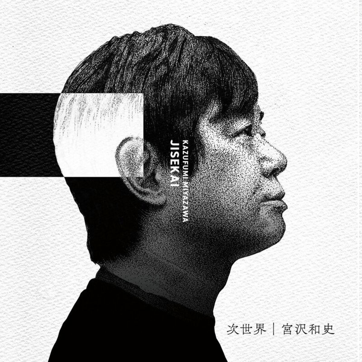 宮沢和史　THE BOOM サイン入り　CD DVD 書籍 宮沢和史の世界 Discography｜THE BOOM Official site