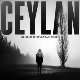 Album cover of Ne Gelirse Sevdadan Gelir