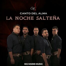 Album cover of La Noche Salteña