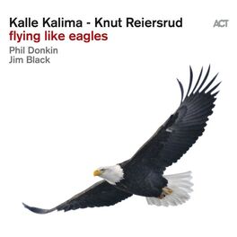 Album cover of Flying Like Eagles