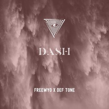 Dash cover