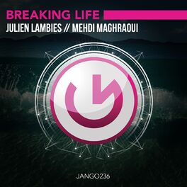 Album cover of Breaking Life