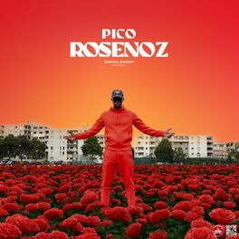 Album cover of Rosenoz