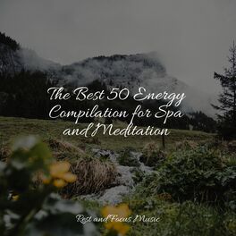 Album cover of The Best 50 Energy Compilation for Spa and Meditation