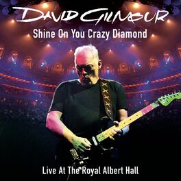Album cover of Shine On You Crazy Diamond (Parts 1-5) (feat. David Crosby & Graham Nash) (Live At The Royal Albert Hall)