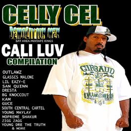 Album cover of Celly Cel Presents... Cali Luv