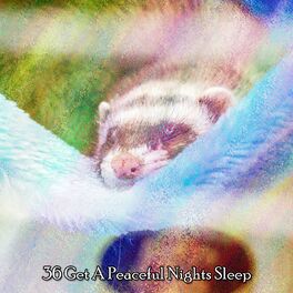 Album cover of 36 Get A Peaceful Nights Sleep