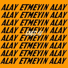 Album cover of Alay Etmeyin Alay