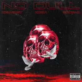 Album cover of No Dull