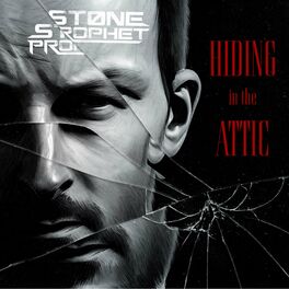 Album cover of Hiding in the Attic