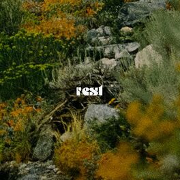 Album cover of rest