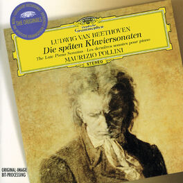 Album cover of Beethoven: The Late Piano Sonatas