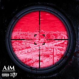 Album cover of Aim