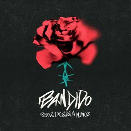 Album cover of Bandido