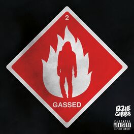 Album cover of 2 Gassed